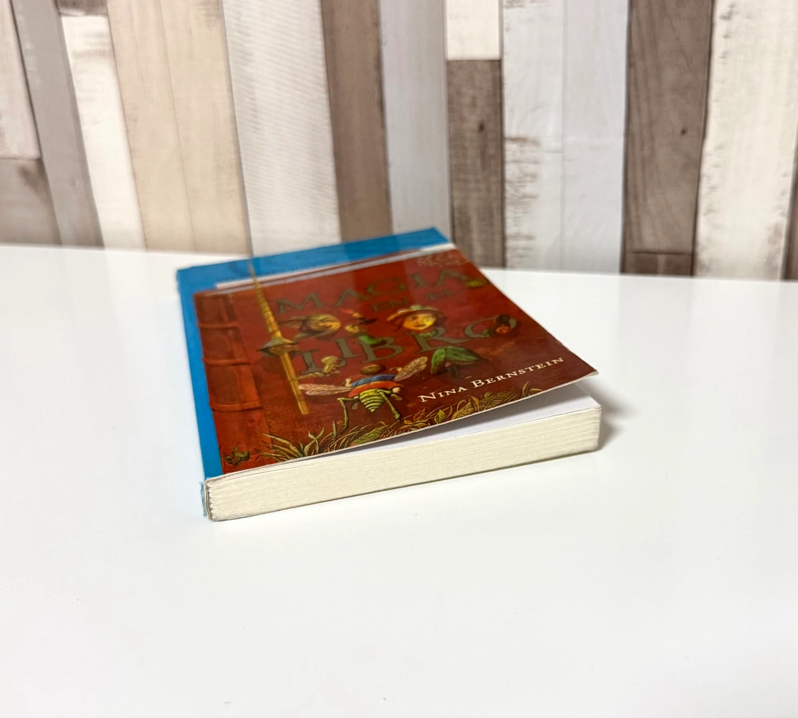 Magic Book in the Book – photo 7